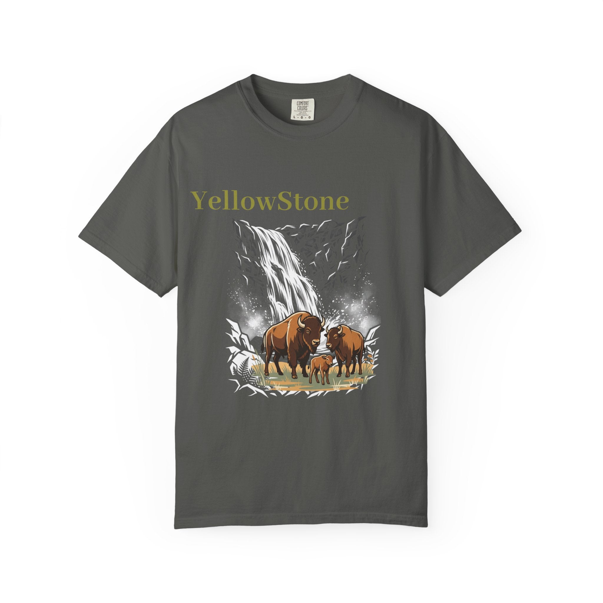 Yellowstone Buffalo