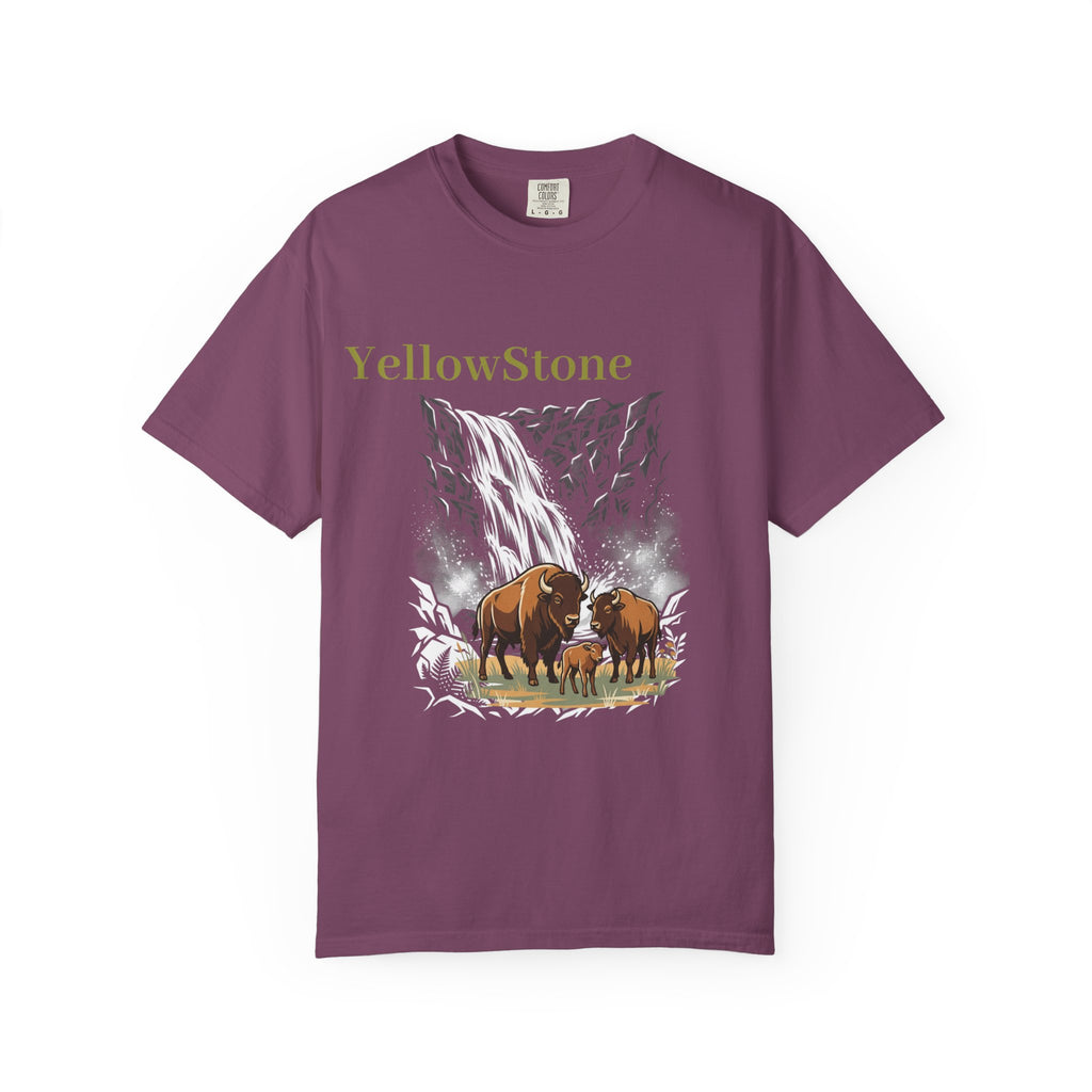Yellowstone Buffalo