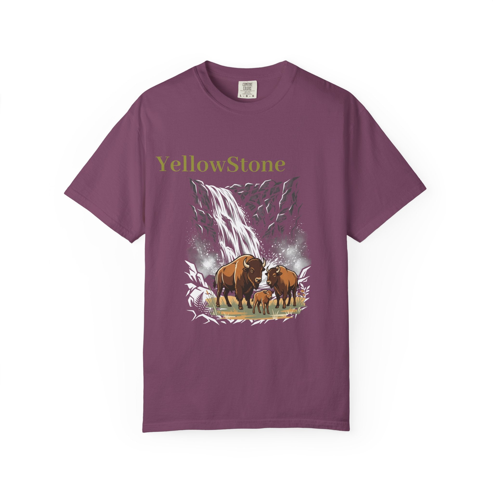 Yellowstone Buffalo