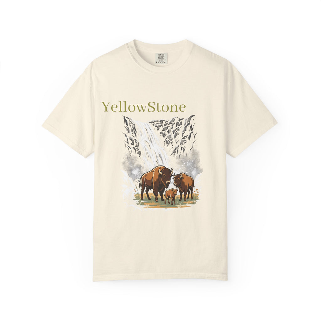Yellowstone Buffalo