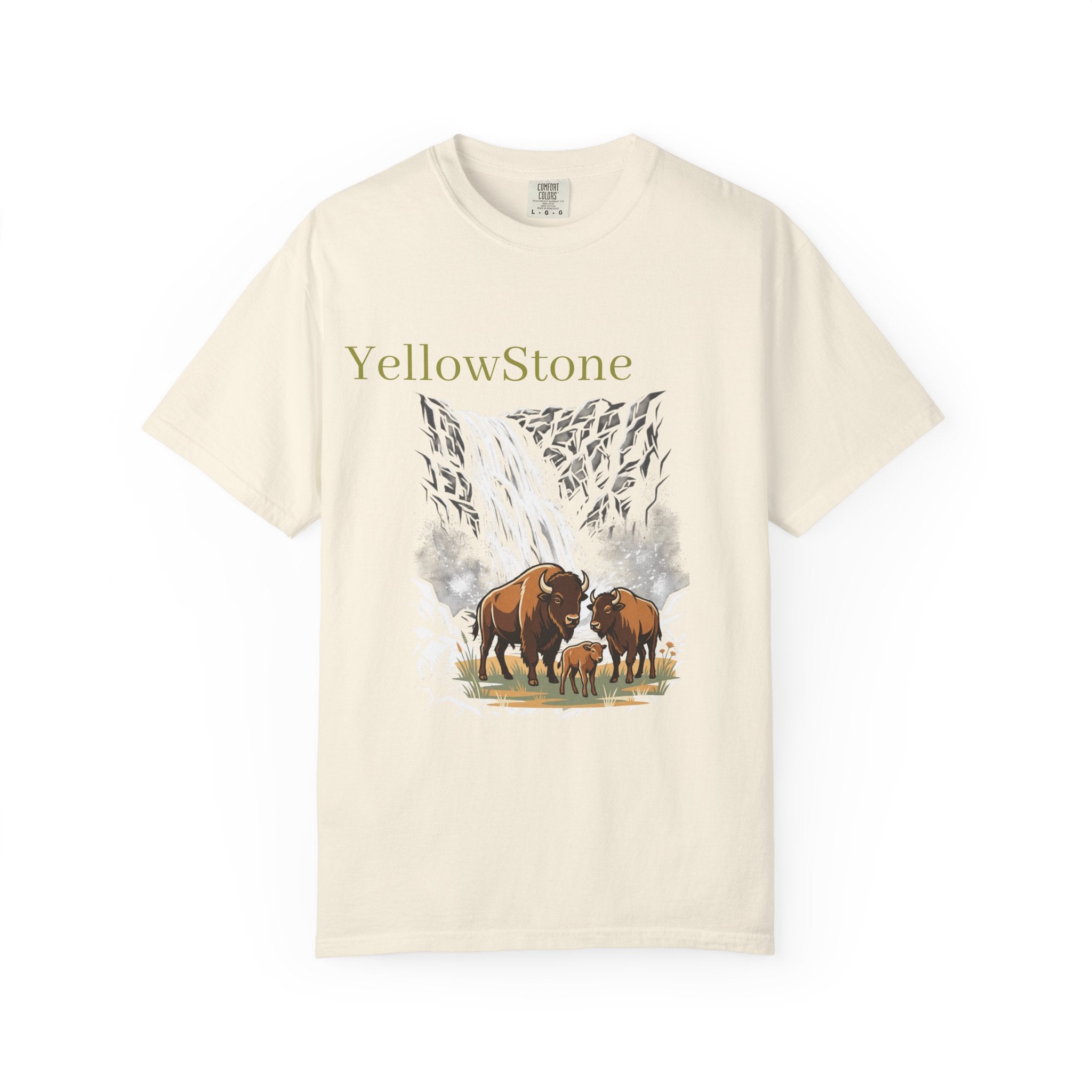 Yellowstone Buffalo