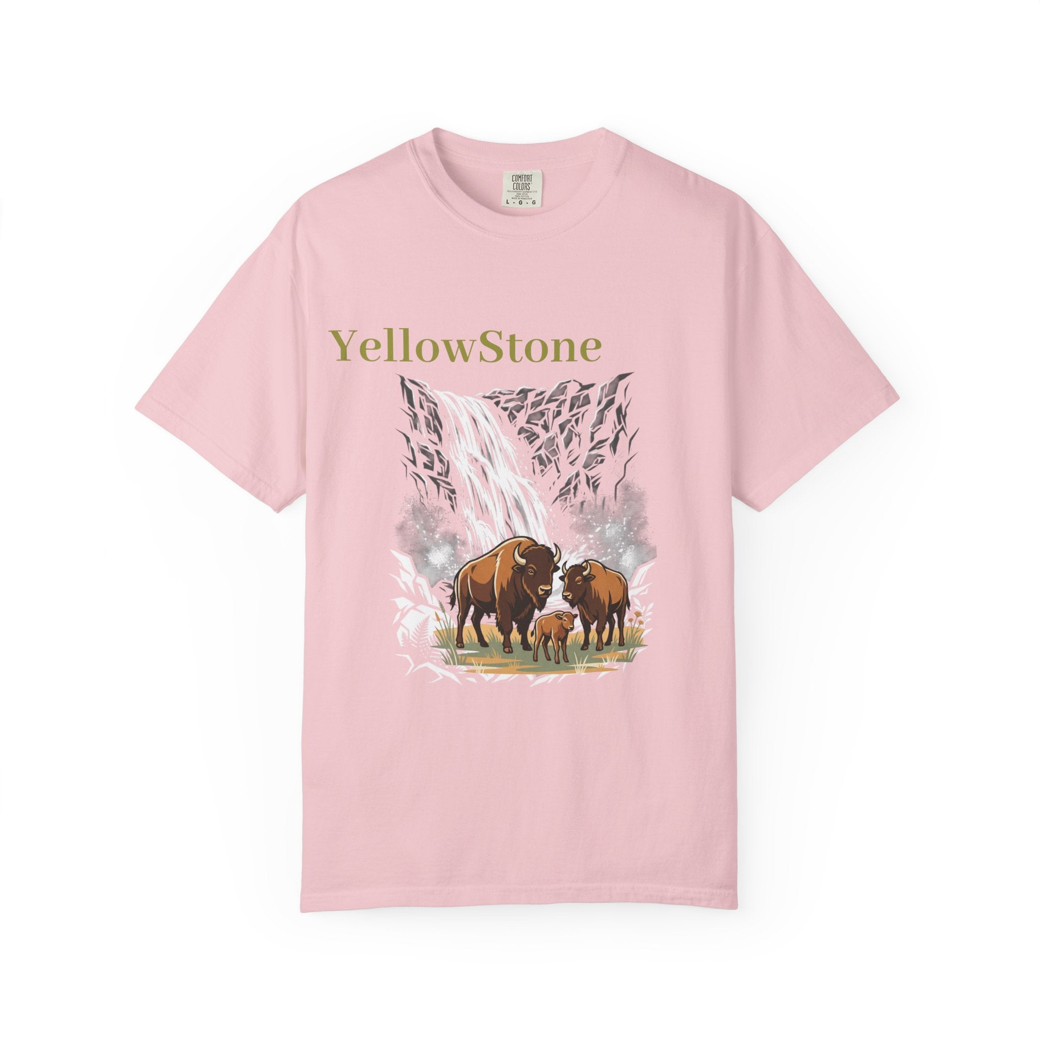 Yellowstone Buffalo